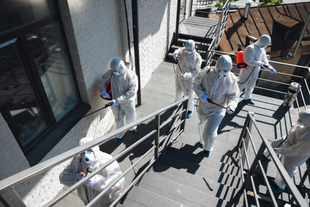 Best Mold Damage Restoration  in Grantley, PA