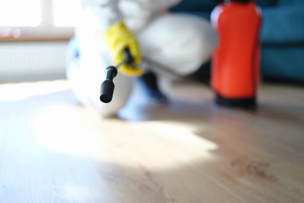 Best Environmental Consulting for Mold Prevention  in Grantley, PA
