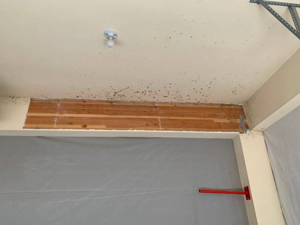 Best Post-Construction Mold Inspection  in Grantley, PA