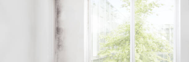  Grantley, PA Mold Removal Pros