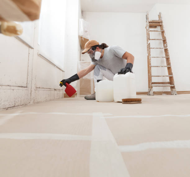 Environmental Consulting for Mold Prevention in Grantley, PA