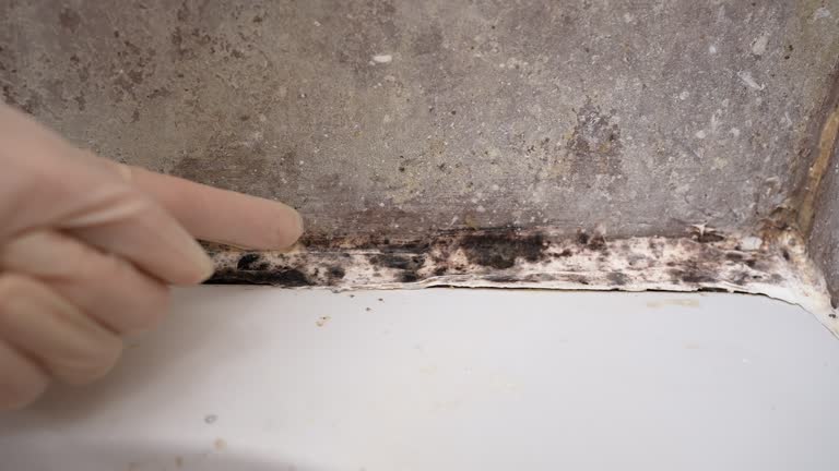 Best Asbestos and Lead Testing During Mold Inspection  in Grantley, PA